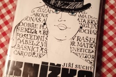 IMG_20251031_202803971