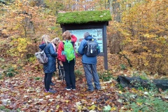 IMG_20251101_114300560_HDR