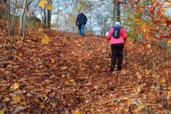 IMG_20251101_114728090