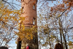 IMG_20251101_114815991_HDR