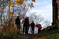 IMG_20251101_114832813