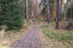 IMG_20251101_123355794