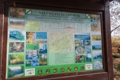 IMG_20251101_124157291_HDR