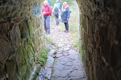 IMG_20251101_130103210_HDR