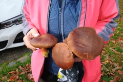 IMG_20251101_133220361