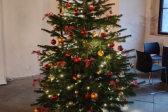 IMG_20241221_152339372_HDR
