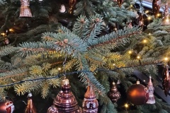 IMG_20241227_105016811