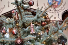 IMG_20241227_105113164_HDR