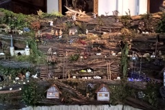 IMG_20241227_105808858