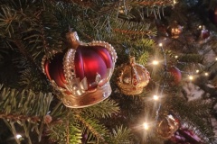 IMG_20241227_110103189_HDR