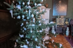 IMG_20241227_112616220_HDR