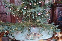 IMG_20241227_113012500