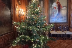 IMG_20241227_113454197_HDR