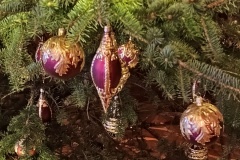 IMG_20241227_113720769