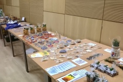 IMG_20251202_171731661_HDR