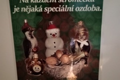 IMG_20251229_105853536