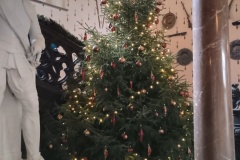 IMG_20251229_105914063_HDR