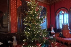 IMG_20251229_111251911_HDR