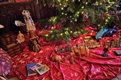 IMG_20251229_111329730