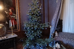 IMG_20251229_111619156