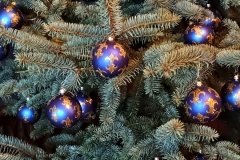 IMG_20251229_111705520