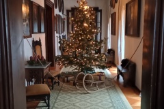 IMG_20251229_112625741_HDR