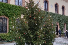 IMG_20251229_114520035_HDR