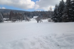 IMG_20250217_101659386