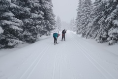 IMG_20260218_121517265