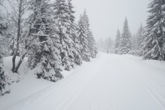 IMG_20260218_121522586