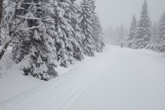 IMG_20260218_121528821