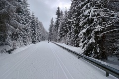 IMG_20260218_125912517_HDR