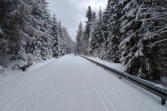 IMG_20260218_125915161_HDR