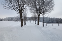 IMG_20260219_110319500