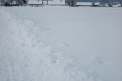 IMG_20260219_110820662