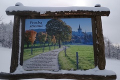 IMG_20260219_111714625