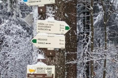 IMG_20260219_111953891