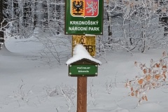 IMG_20260219_112005488