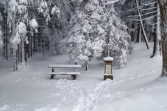 IMG_20260219_112050746