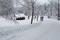 IMG_20260219_112108977