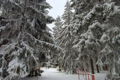 IMG_20260219_112732978_HDR