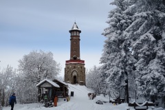 IMG_20260219_113343014