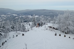 IMG_20260219_114421149