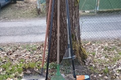 IMG_20260323_174233851_HDR