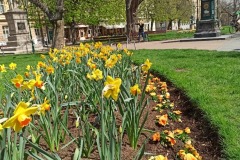 IMG_20230421_131717