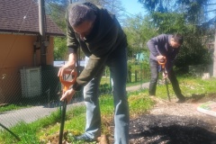 IMG_20250426_150531079