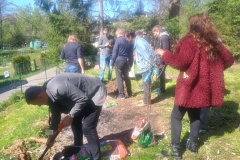 IMG_20250426_150752654_HDR