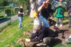 IMG_20250426_151008986_HDR