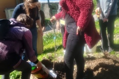 IMG_20250426_151345677_HDR