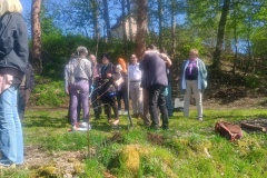 IMG_20250426_151418139_HDR